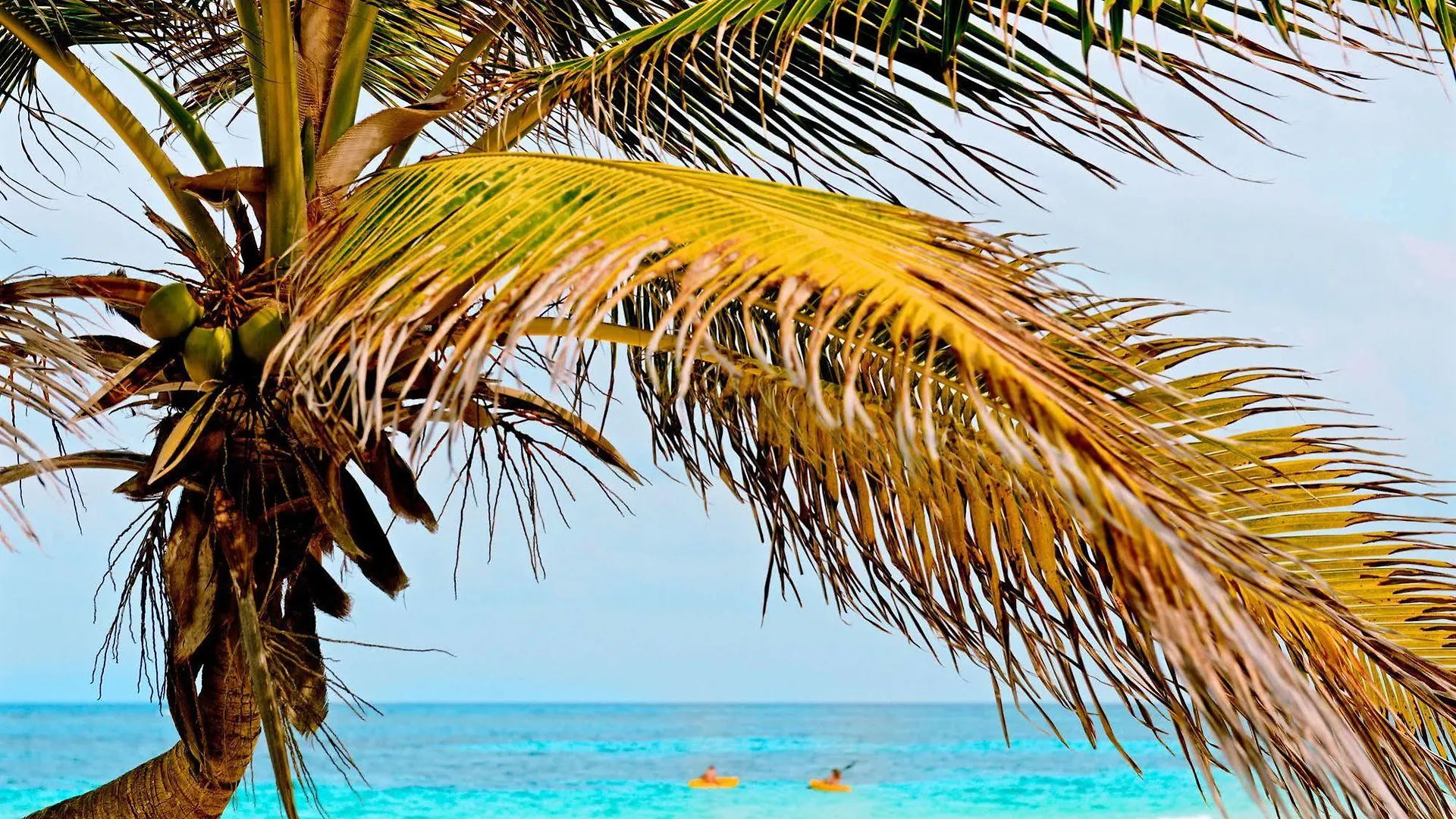 Hotel Casa Chable Punta Allen México